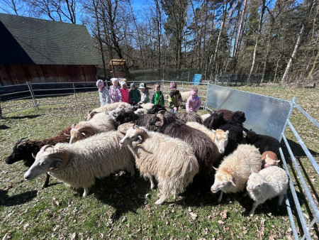 Se zvířaty jsme se mohli zblízka seznámit